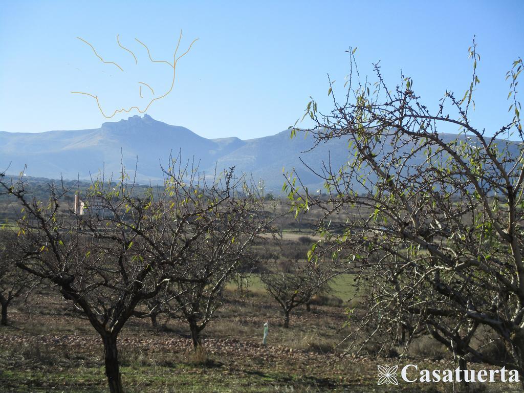 Villa Casa Tuerta Alcalá de Moncayo Exterior foto